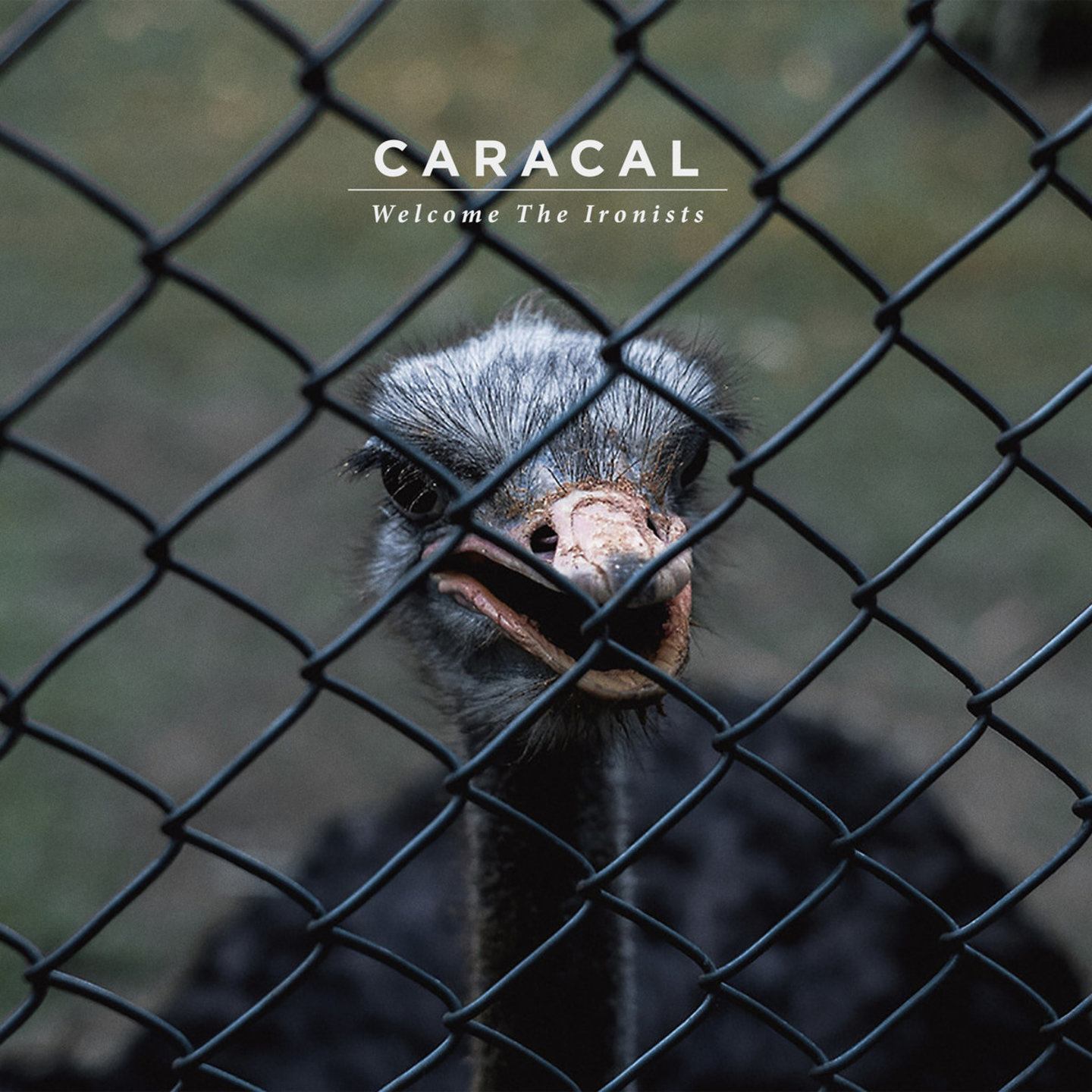 CARACAL - Welcome The Ironists LP
