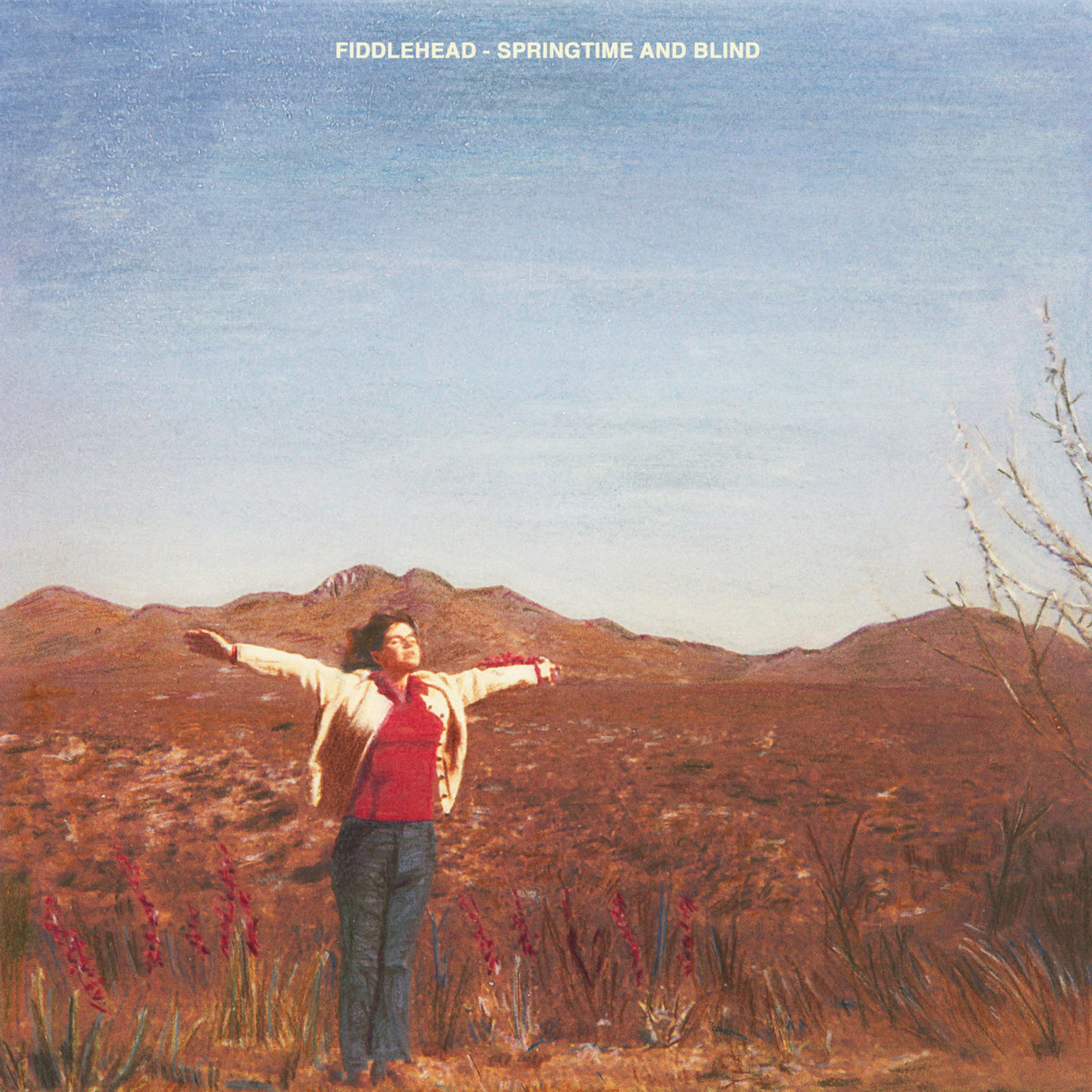 FIDDLEHEAD - Springtime And Blind LP Colour Vinyl