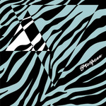 PROSPEXX - Prospexx Maxi 12