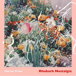 WILD CAT STRIKE - Rhubarb Nostalgia LP