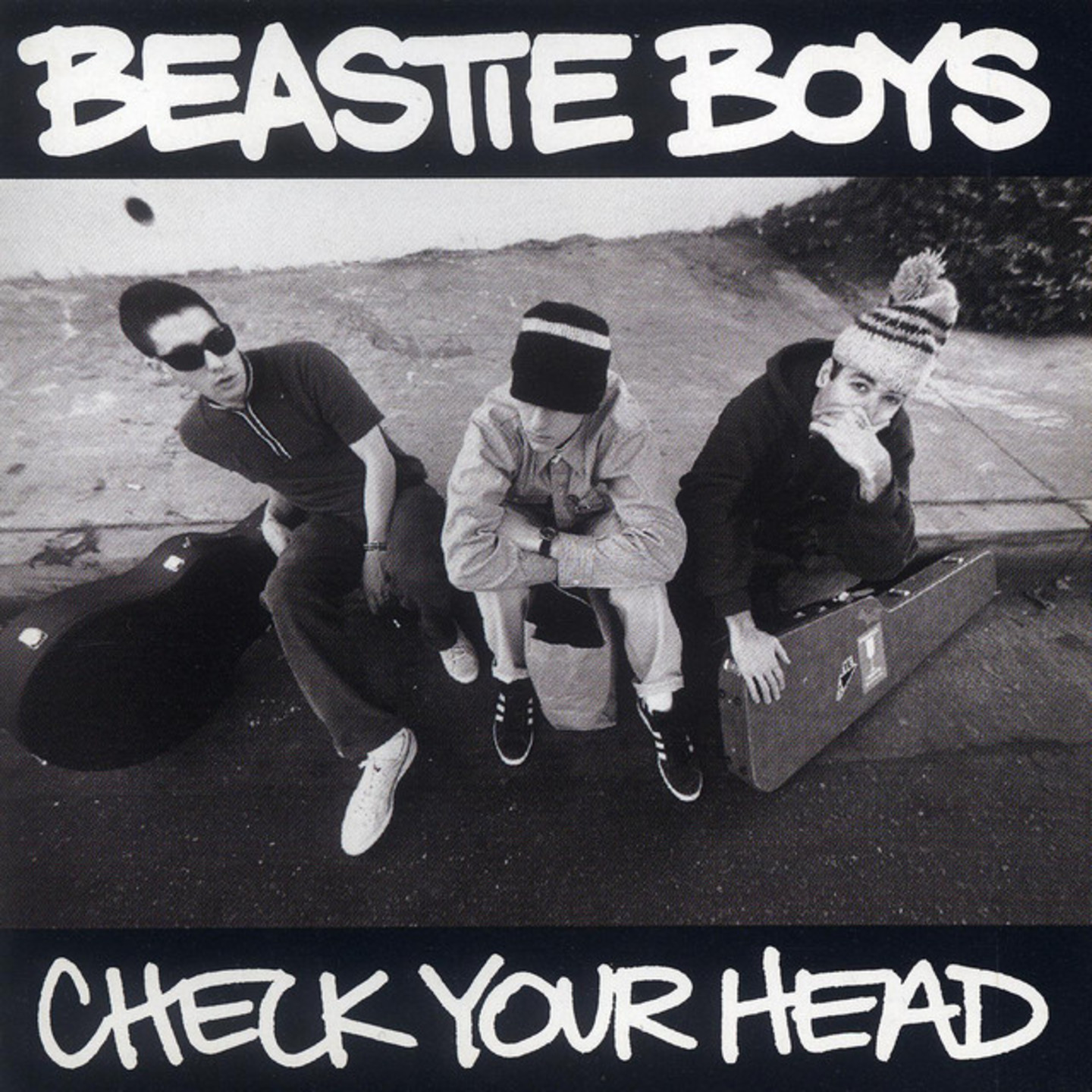 BEASTIE BOYS - Check Your Head 2xLP