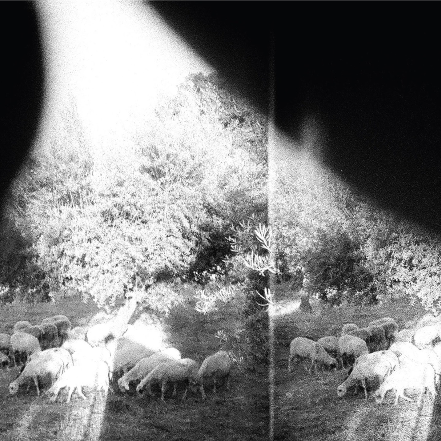 GODSPEED YOU BLACK EMPEROR - Asunder, Sweet And Other Distress LP