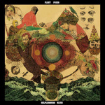 FLEET FOXES - Helplessness Blues 2xLP