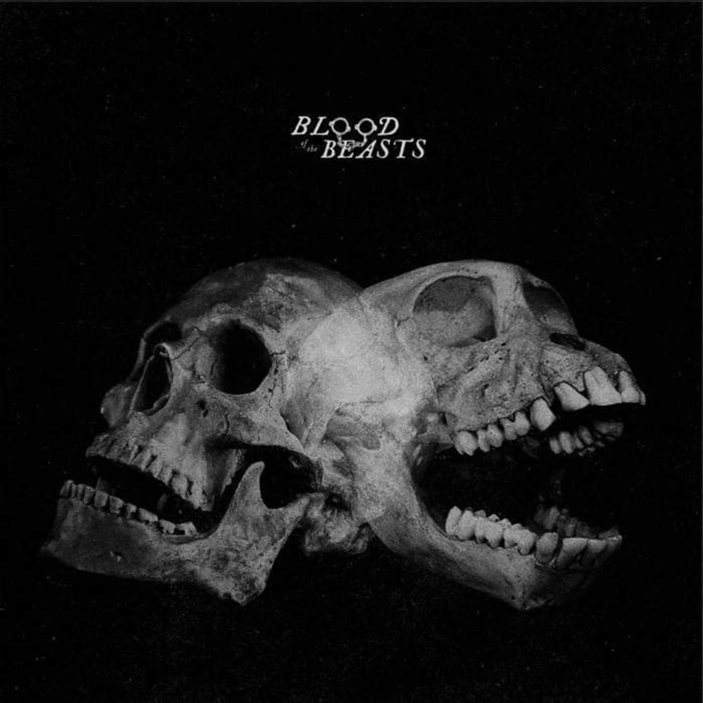 SECT USA - Blood of the Beasts LP Clear vinyl