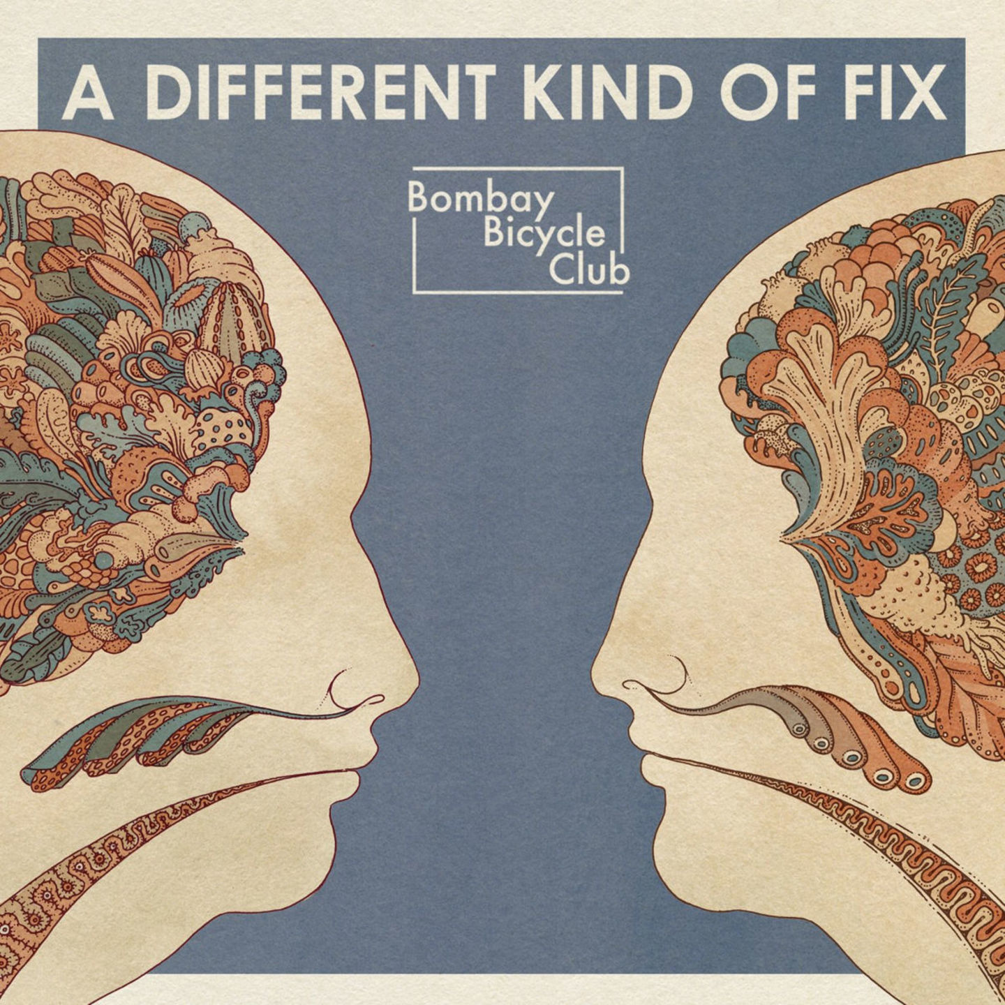 BOMBAY BICYCLE CLUB - Different Kind Of Fix LP