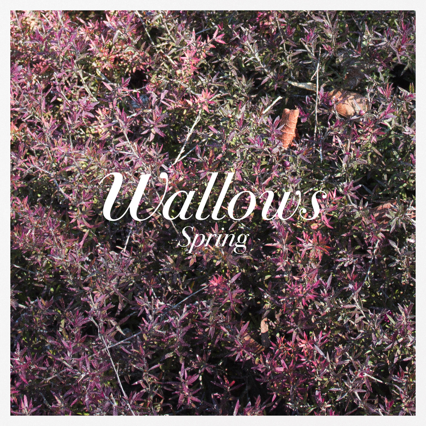 WALLOWS - Spring 12EP Colour Vinyl