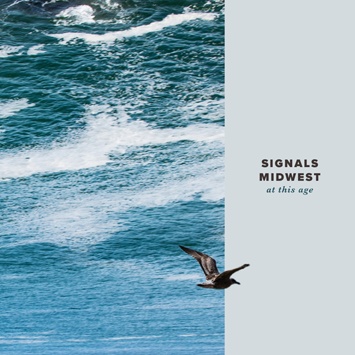 SIGNALS MIDWEST - At This Age LP