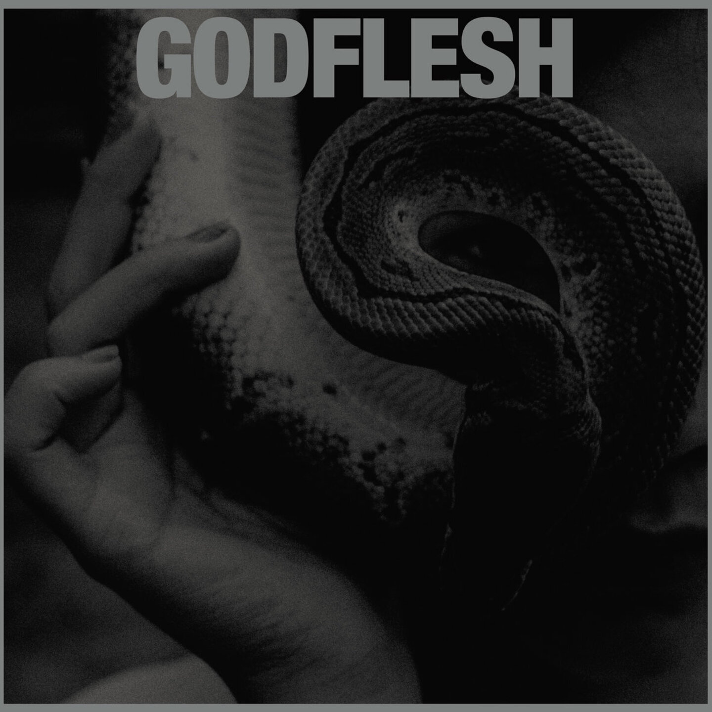 GODFLESH - Purge LP