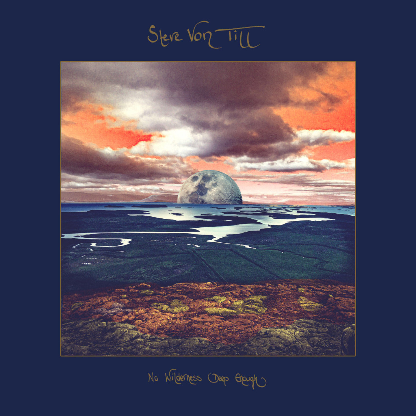 STEVE VON TILL - No Wilderness Deep Enough Violet with Gold Vinyl