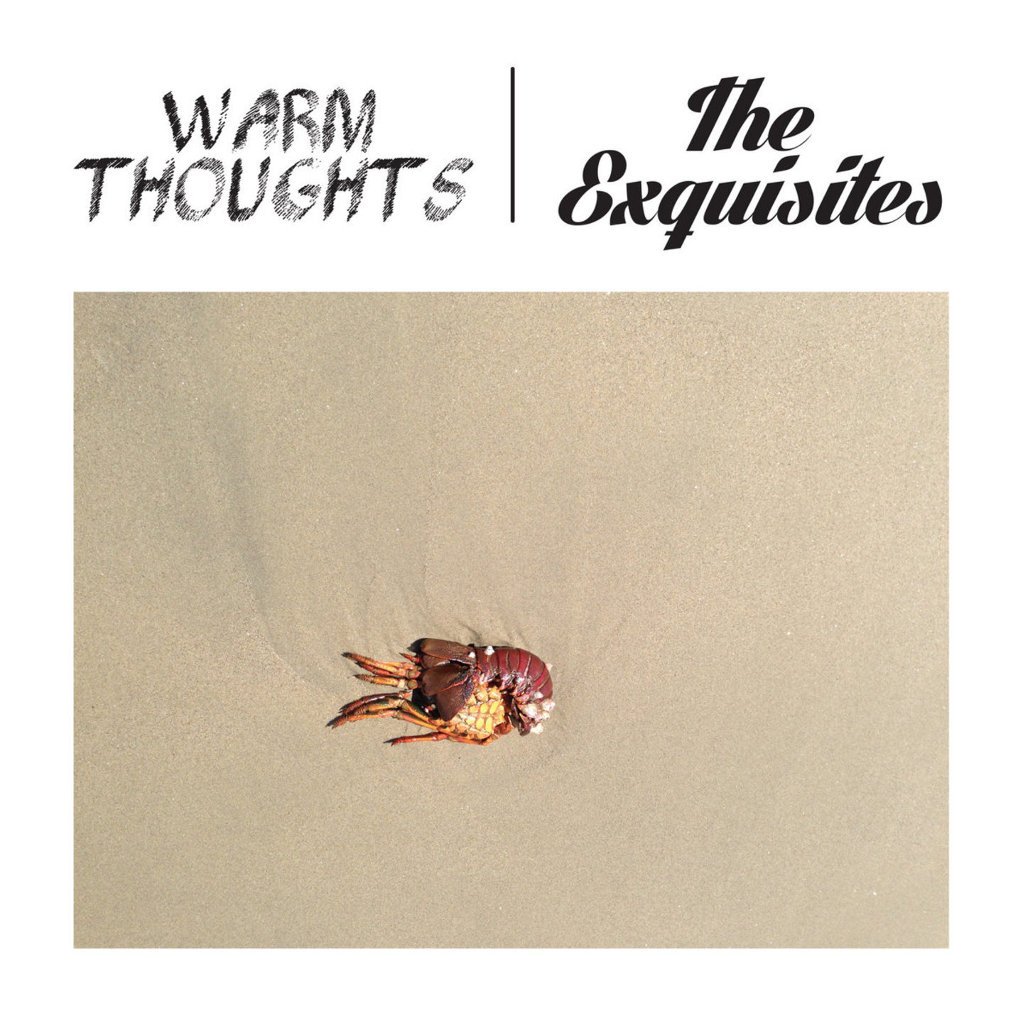 WARM THOUGHTS  EXQUISITES, THE - Split 7