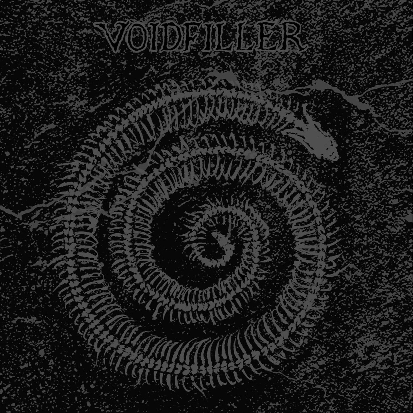 VOIDFILLER - Voidfiller LP