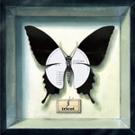 TRICOT - 3 LP