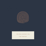 THIS WILL DESTROY YOU - The Puritan 7