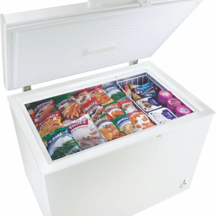 Godrej D Freeze 200 L