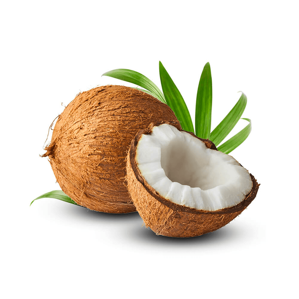 Coconut