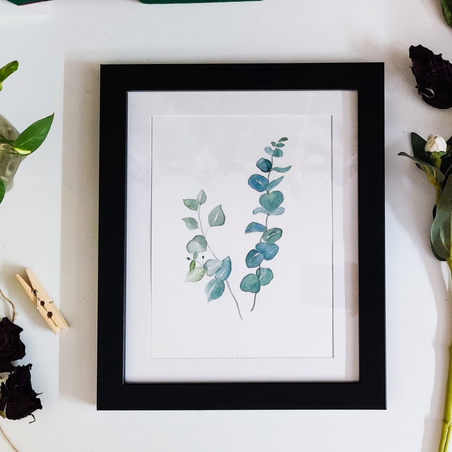 Eucalyptus leaf  Framed Watercolor botanical illustration A5 size paper