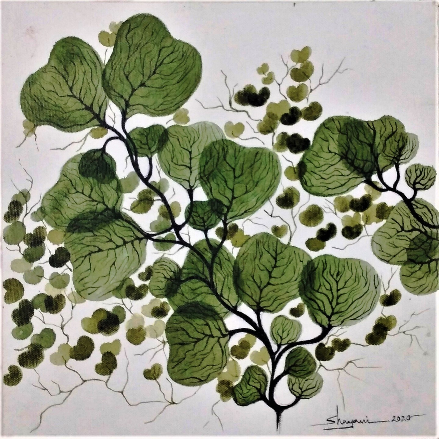 Freshness - Acrylic on Canvas Hand Painting By Artist Shayani Boral 