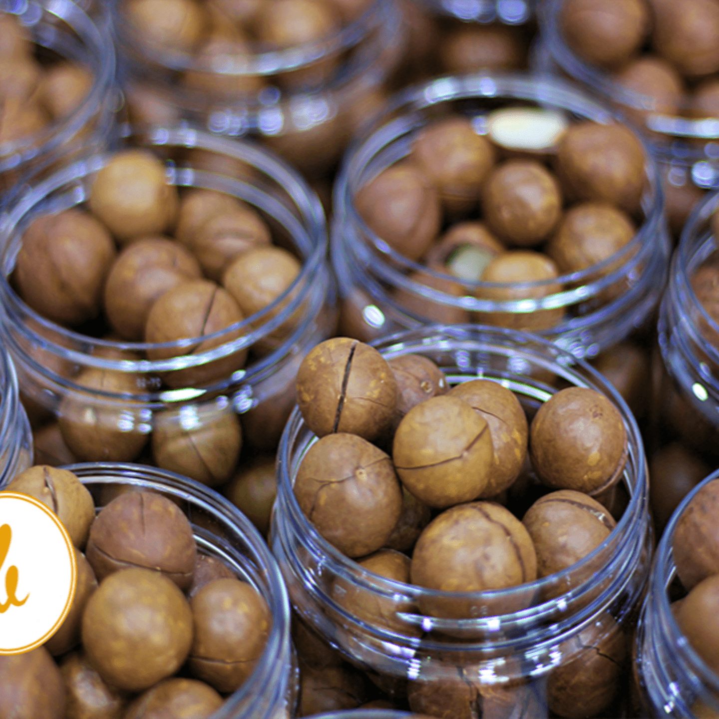 Macadamia Nuts