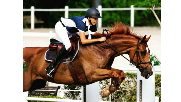 saddle4.jpg