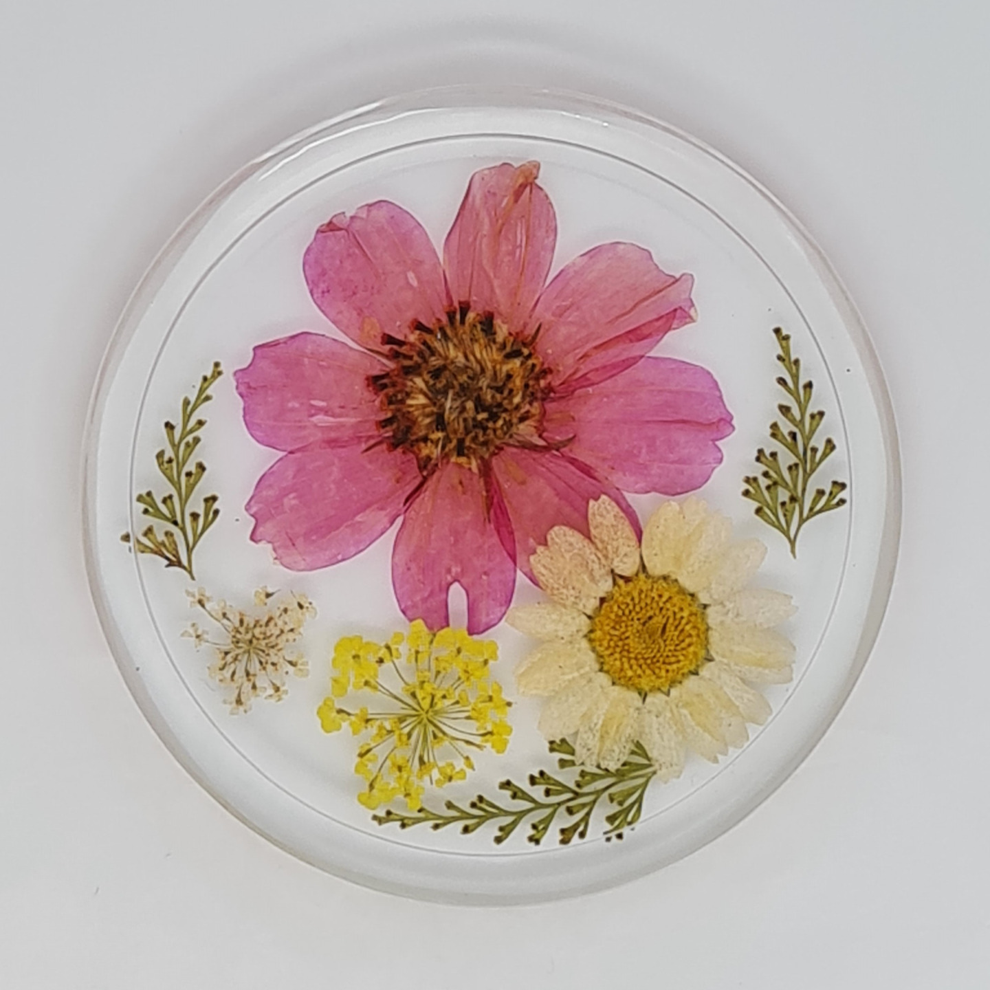 Bloom8 rim| Real Pressed Flowers resin coaster| Handmade 