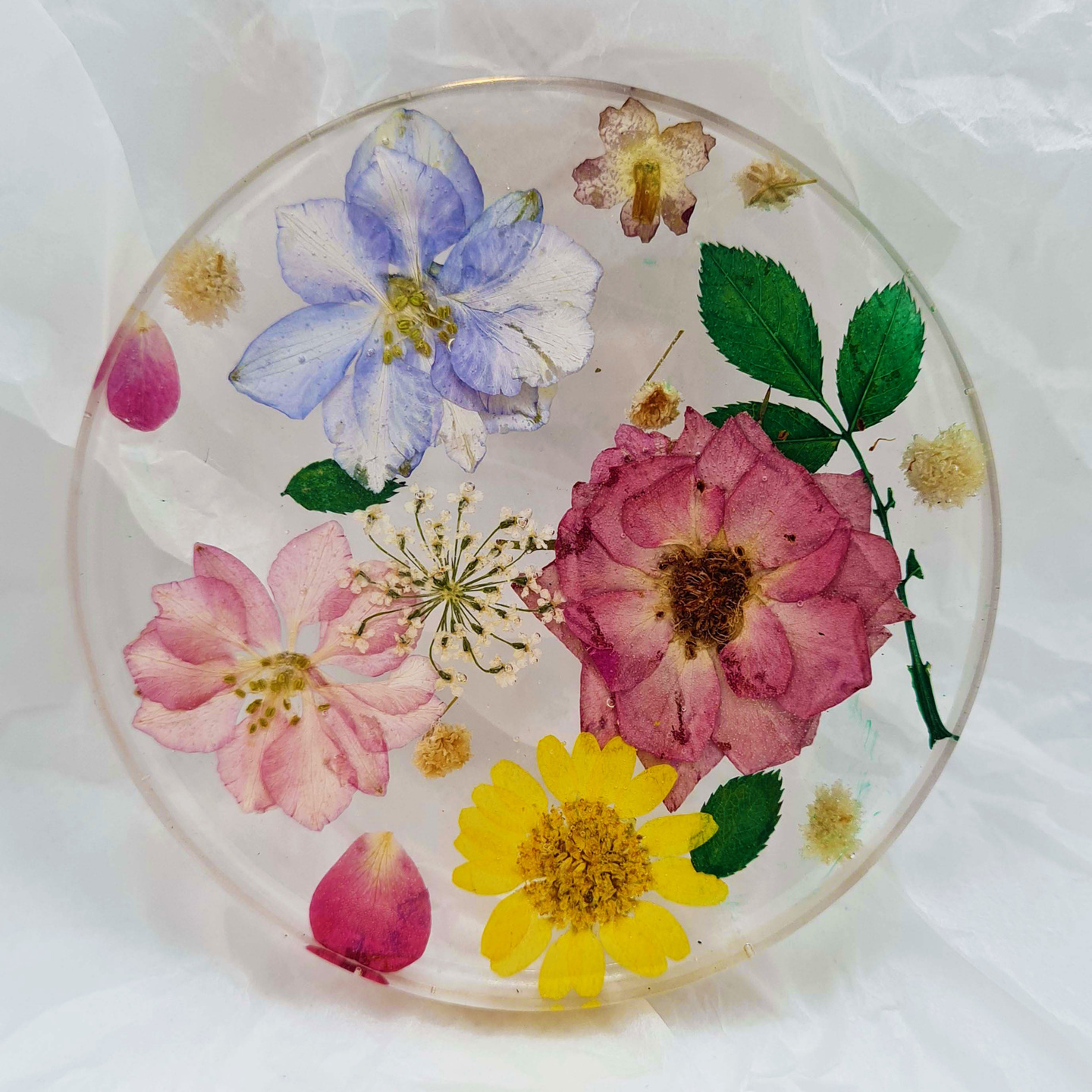 Bloom 8 rimless  Real Pressed Flowers & Leaves Resin Coaster  Handmade