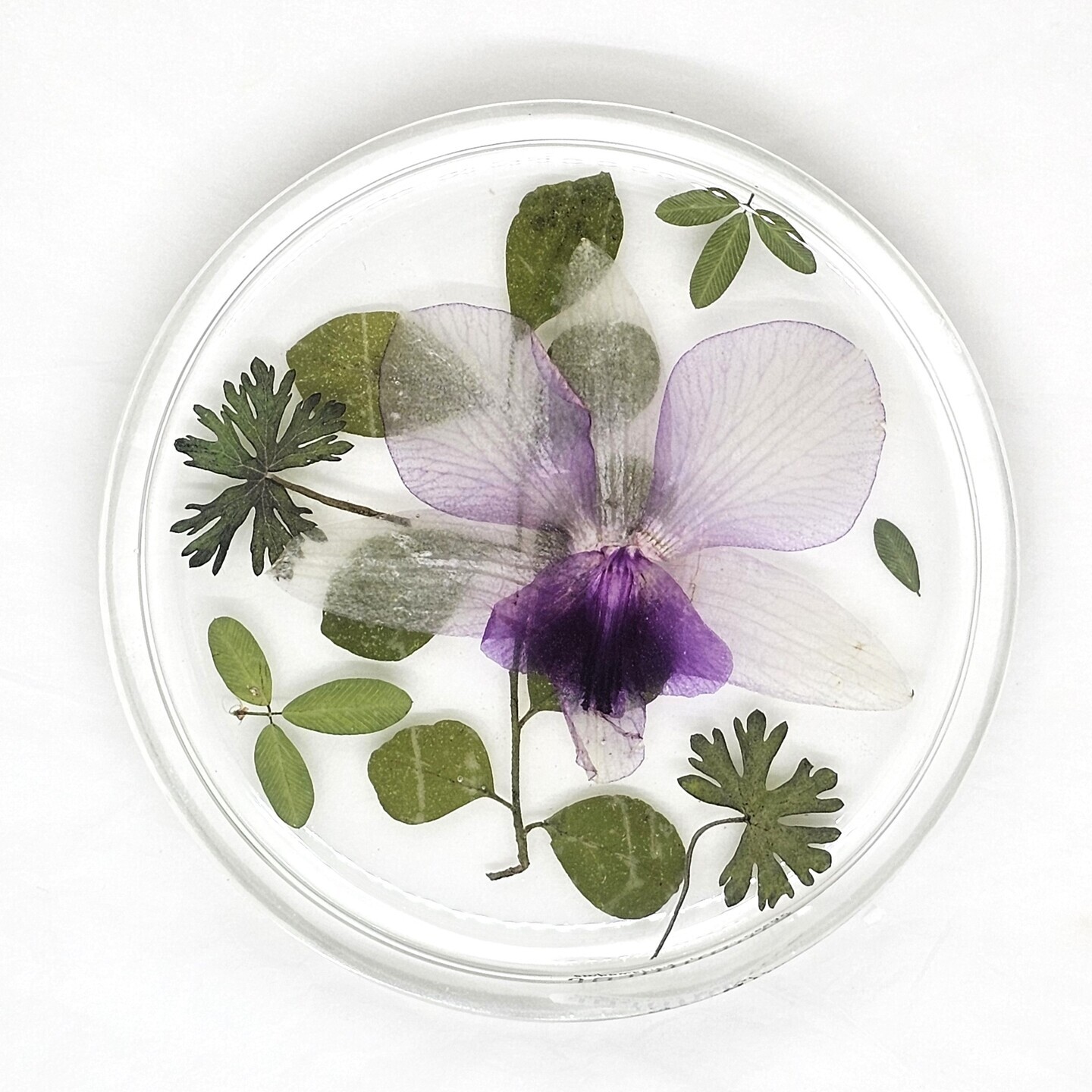 New 2025  Orchid Bloom Coasters  Handmade Resin w Real Flowers by Special needs artisans  Limited Edition