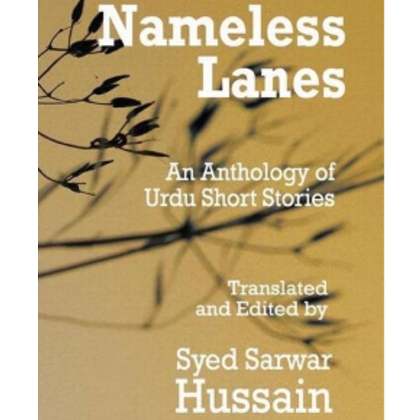 Nameless Lanes by Syed Sarwar Hussain