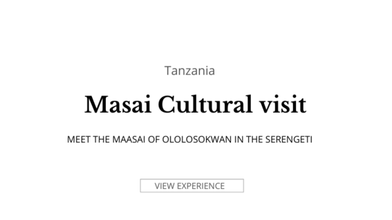 Masai Cultural visit (4).png