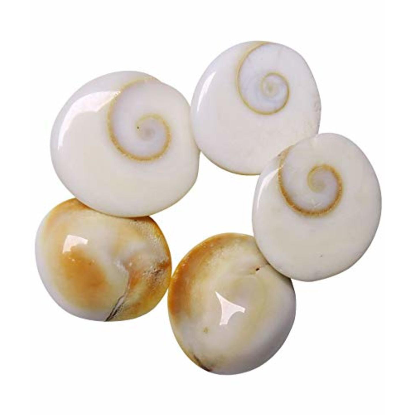 Gomti Chakra (Set of 13 pieces)