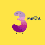 The 3 Month Subscription