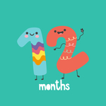 The 12 Month Subscription