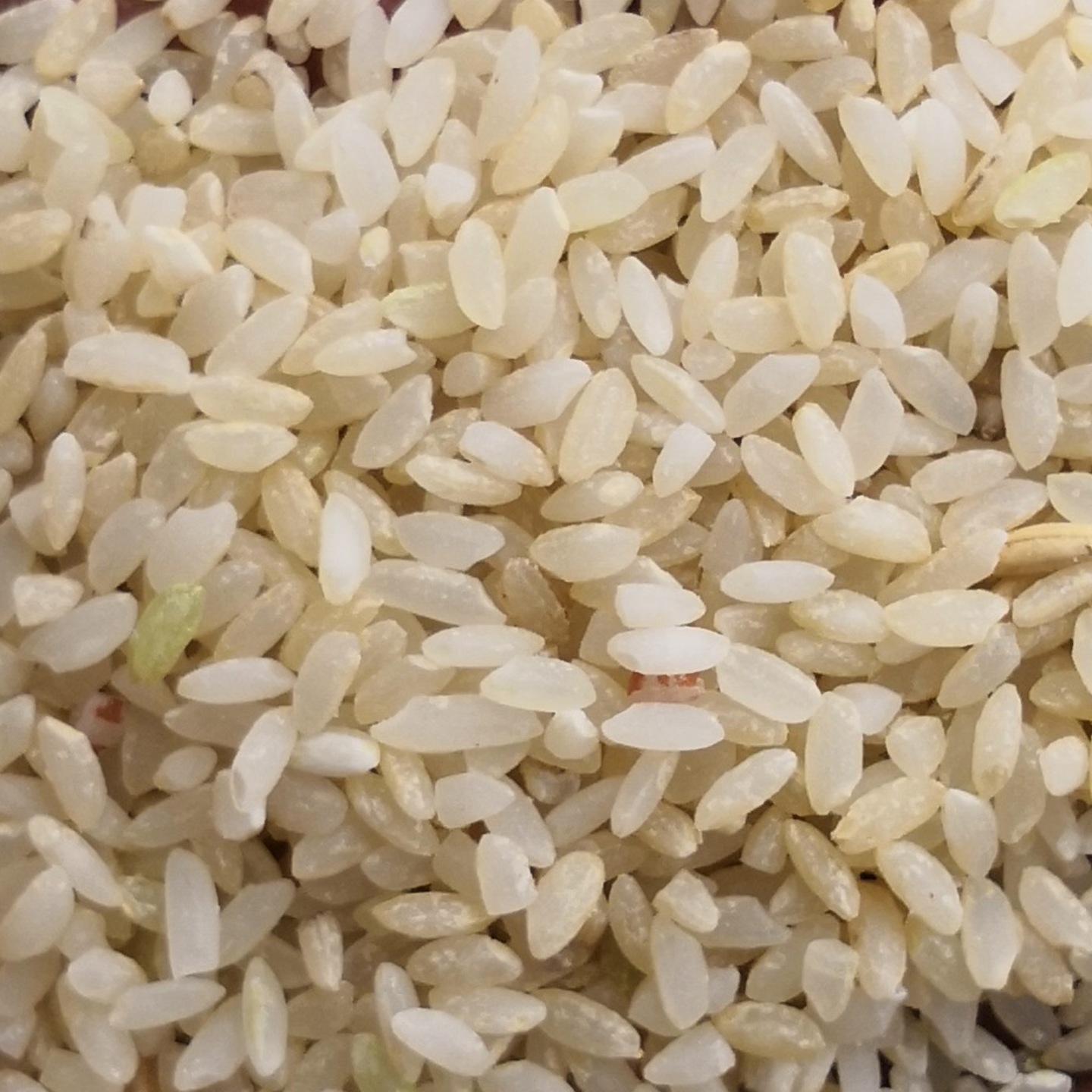 Organic Seeraga Samba Rice