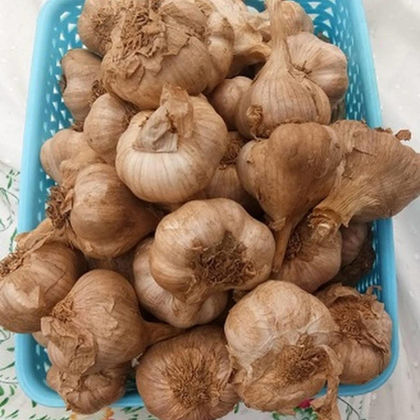 Kodaikkanal Hill Garlic