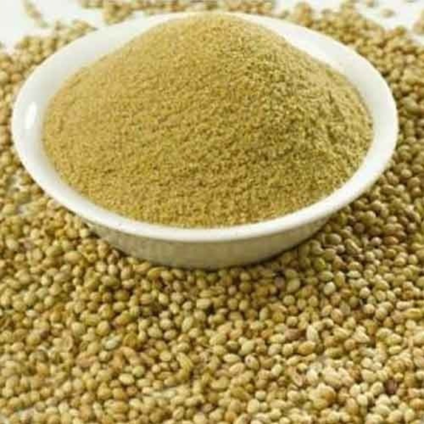 Organic Dhania Powder