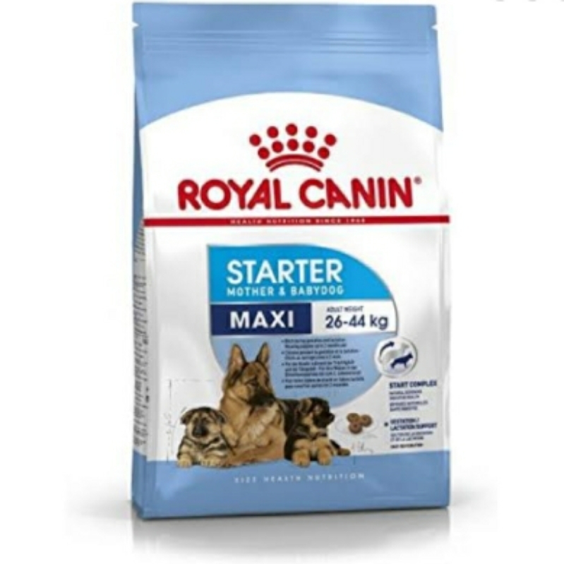 Royal Canin Maxi Starter 4 kg