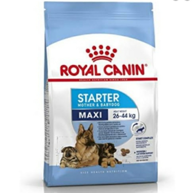 Royal Canin Maxi Starter 15kg