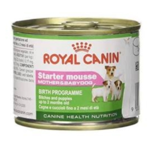 Starter Mousse Can 0.195 kg