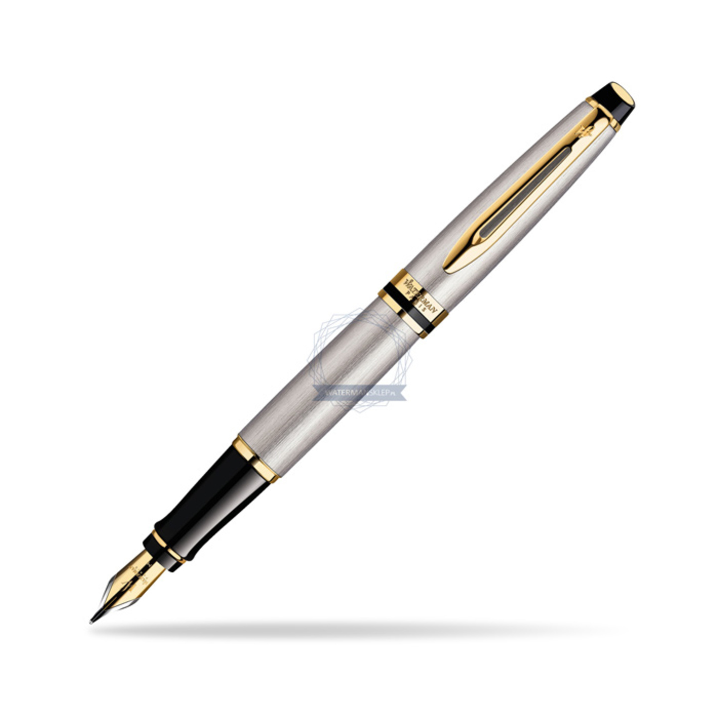 Waterman Expert Stainless Steel GT Fountain pen