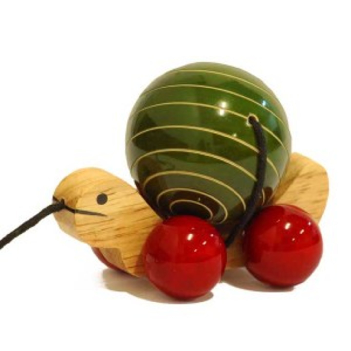 Tortoise with Ball