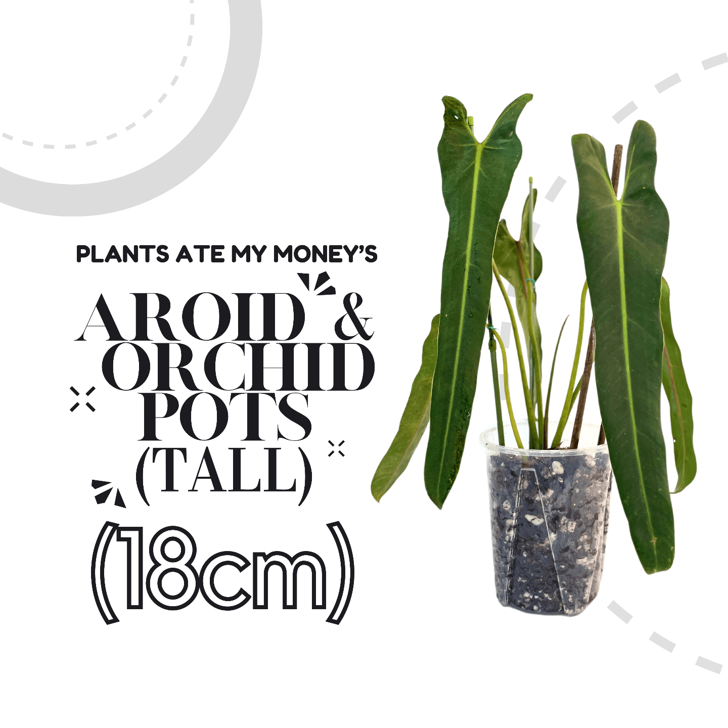 TALL 18cm Aroid & Orchid Pot