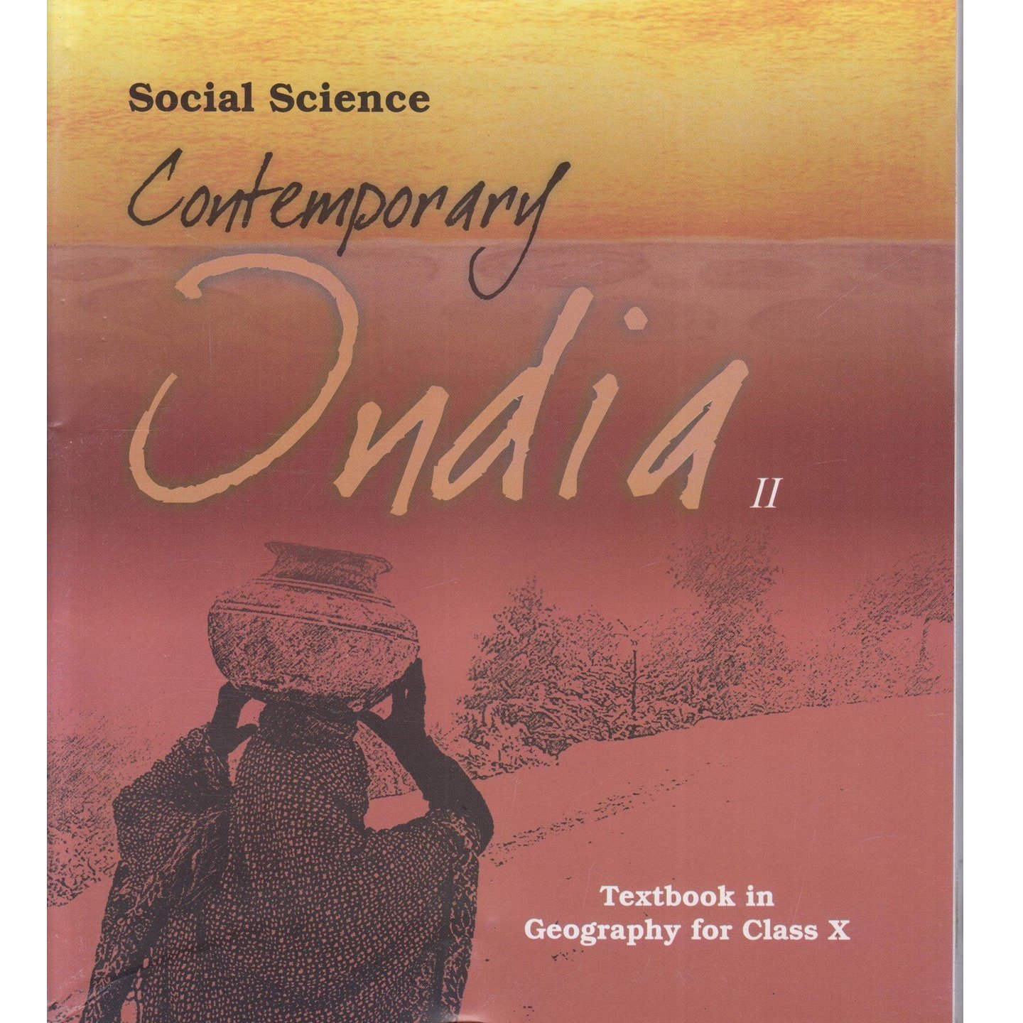 GEOGRAPHY CONTEMPORARY INDIA II