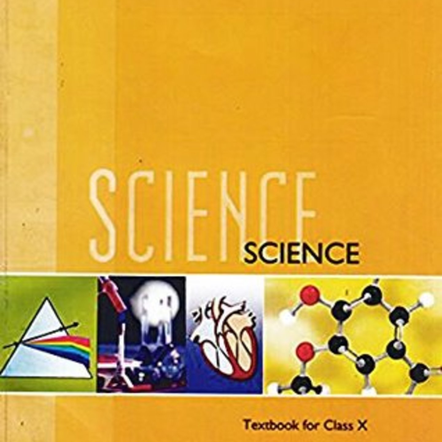 SCIENCE 10 - NCERT BOOK