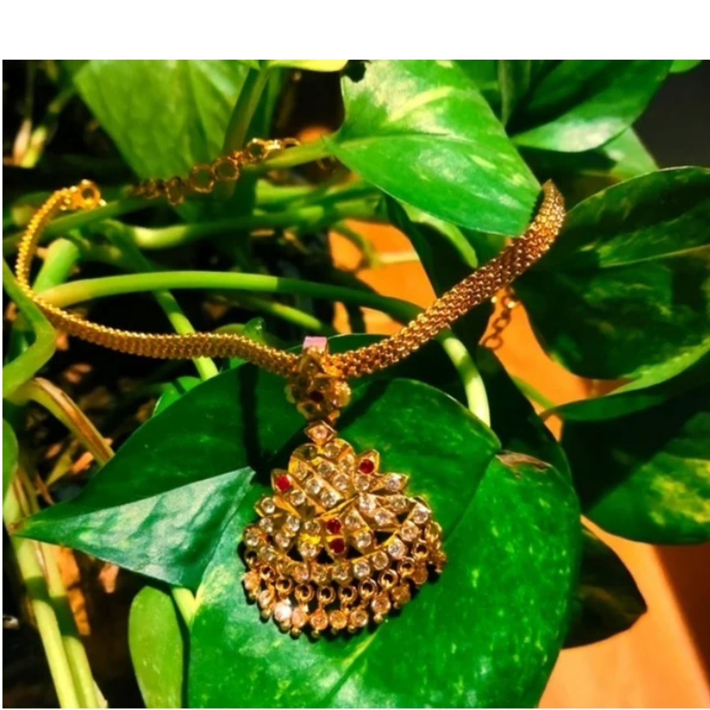 Impone Necklace with DollarPendant