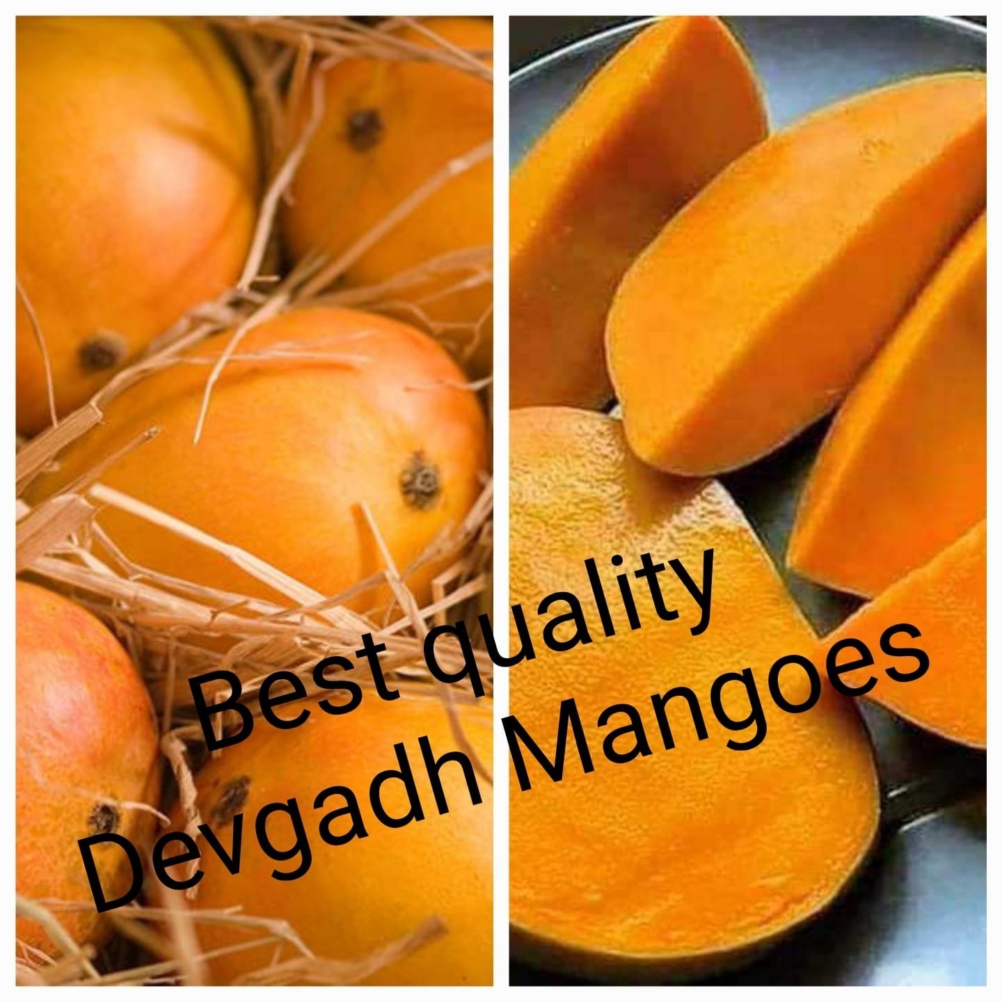 Devgadh Mangoes 1 dozen rates as per size of Mangoes