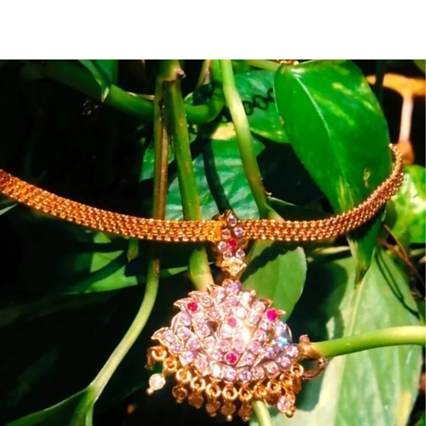 Impone Necklace with DollarPendant
