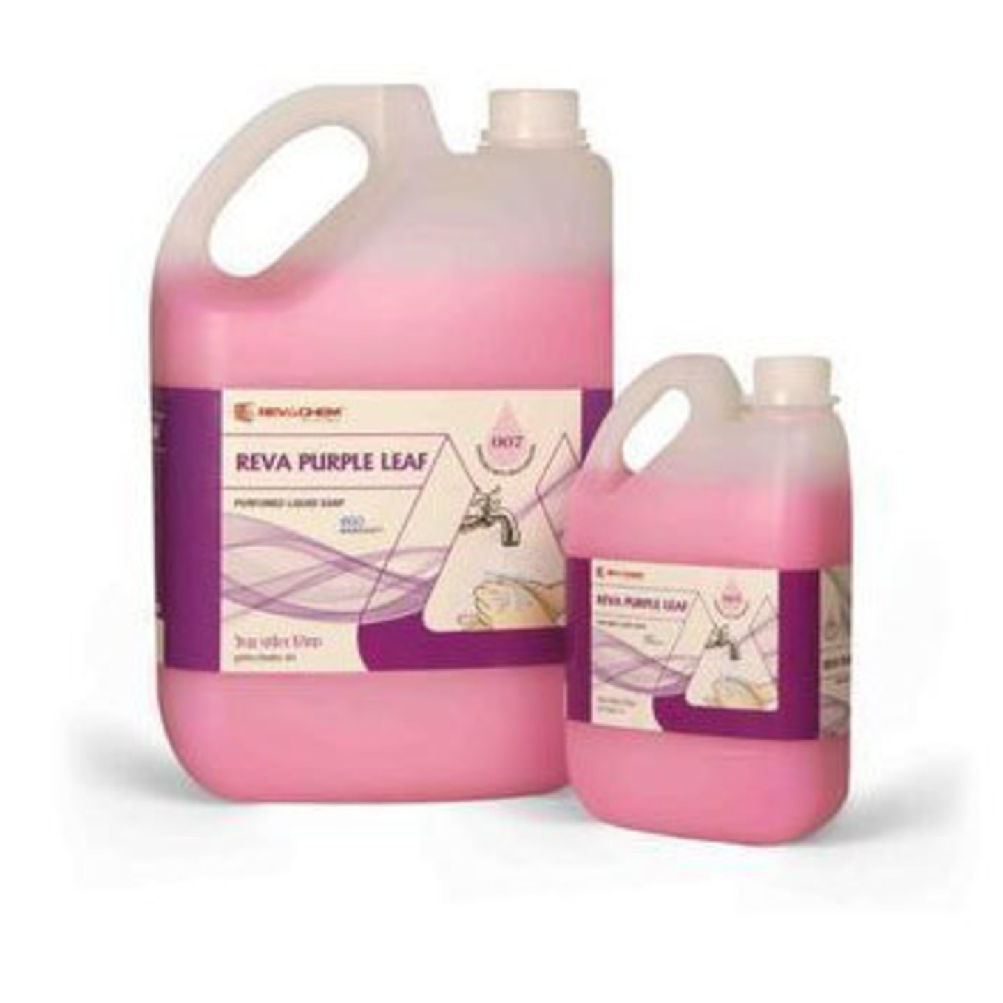 Reva Purple Leaf Handwash - 5ltr