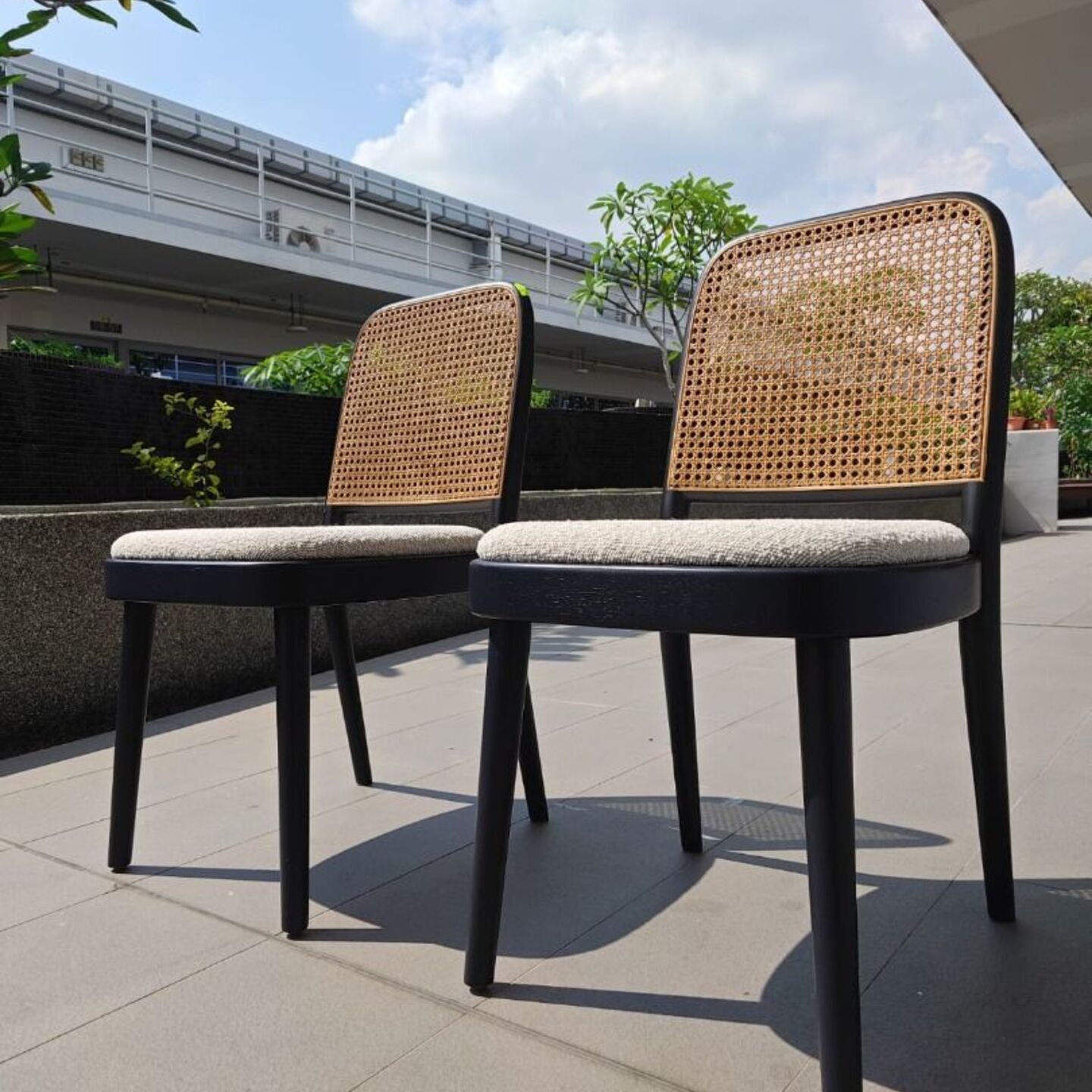 VOLONIA Rattan Cane Dining Chairs in BLACK with BOUCLE Cushion (set of 2)