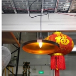 SAUER BLACK Ceiling Hanging Lamp MD20101-1-360