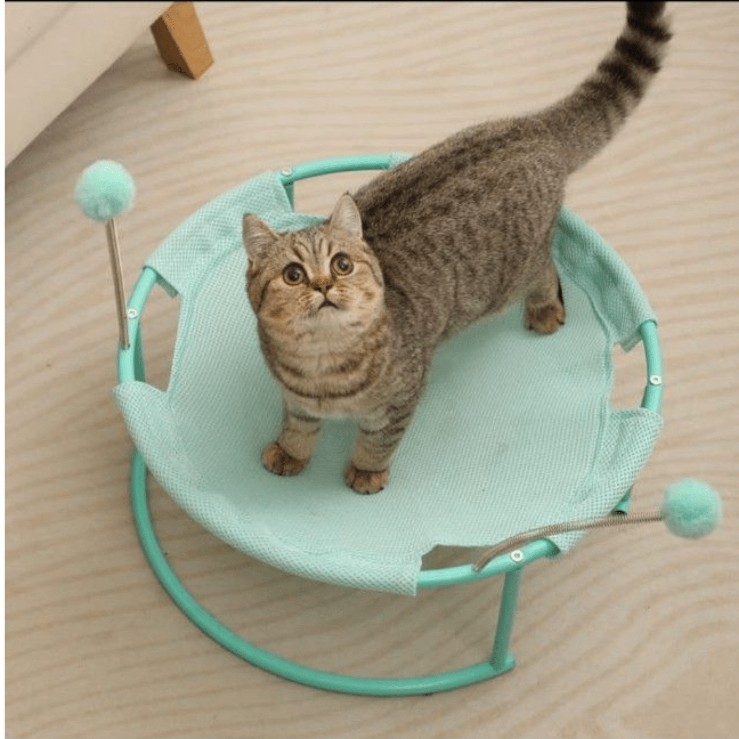 PAWSY CAT Play Pen Pouch in BLUE CANVAS