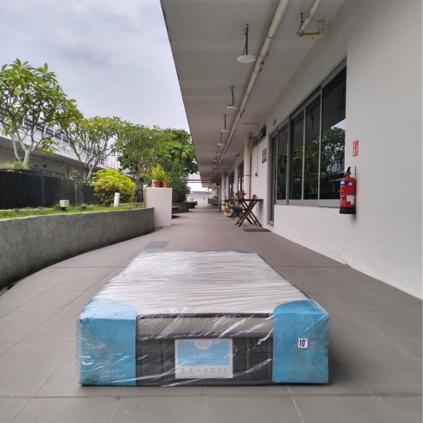 COMFORT DREAMS Single Size Spine Guard Spring Mattress with EUROTOP - LOREIN